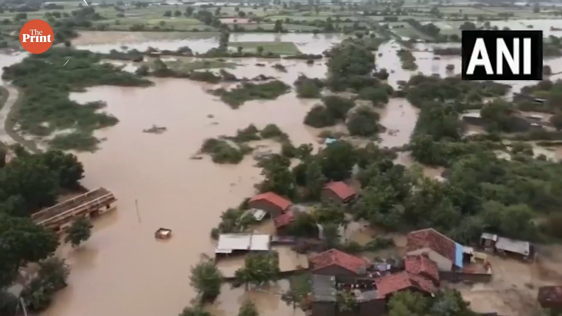 musical instruments to learn in 2024